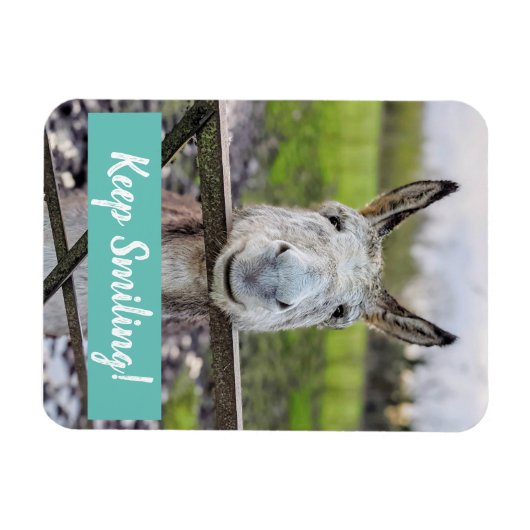 Smiling Donkey "Keep Smiling" Magnet (Horizontal)