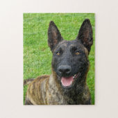 Smiling Dutch Shepherd Portrait Puzzle (Vertikal)