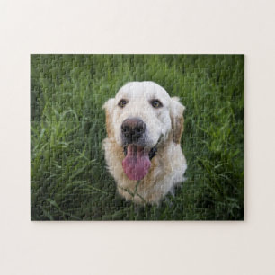 Smiling Golden Retriever Puzzle