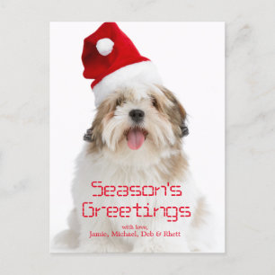Smiling Lhasa Apso Dog Wearing Santa Hat Feiertagspostkarte