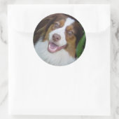 Smiling Red Tri Aussie Runder Aufkleber (Tasche)