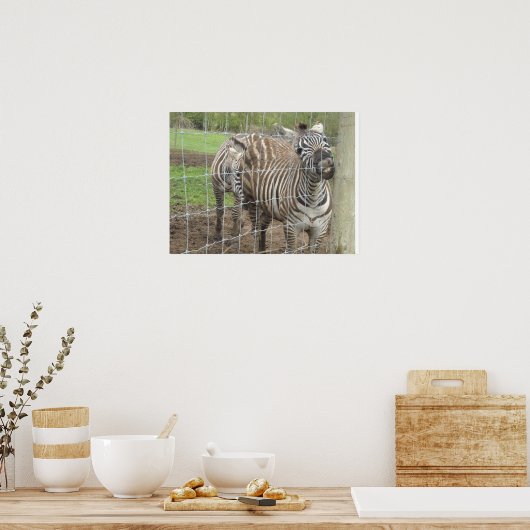 Smiling Zebra Poster (Küche)