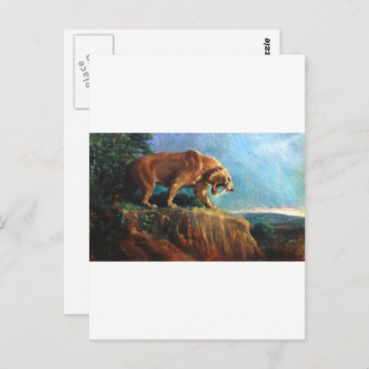 Smilodon-1 Postkarte (Vorne/Hinten)
