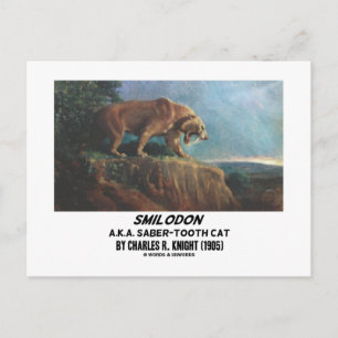 Smilodon (alias Säbeltooth Cat) Ritter (1905) Postkarte