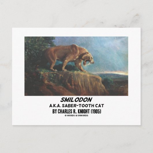 Smilodon (alias Säbeltooth Cat) Ritter (1905) Postkarte (Vorderseite)