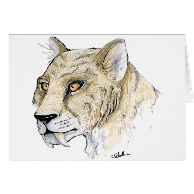 Smilodon (SABRE-Zahn) (Vorderseite (Horizontal))