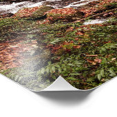 Smith Creek Fotodruck (Ecke)