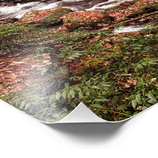 Smith Creek Fotodruck (Ecke)