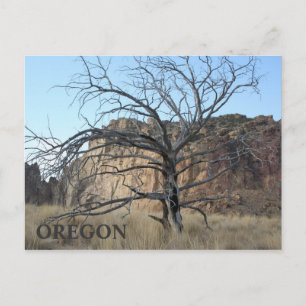 Smith Rock Rocks Postkarte