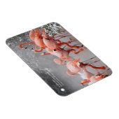 Smithsonian | Flamingos im Schnee Magnet (Rechte Seite)