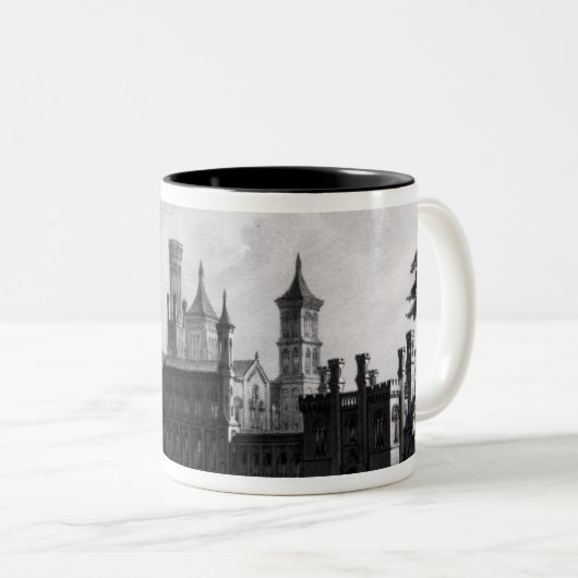 Smithsonian Institution vom Südwesten Zweifarbige Tasse (VorderseiteRechts)