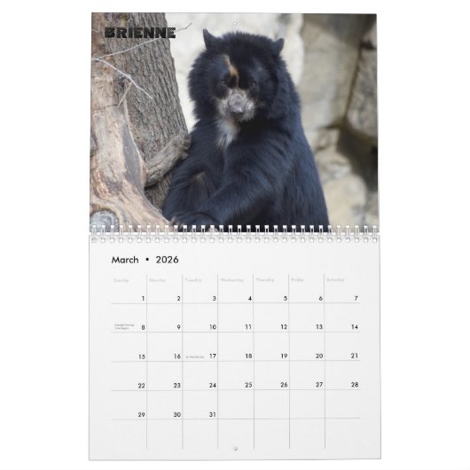 Smithsonian National Zoo 2022 Kalender (Mär 2026)