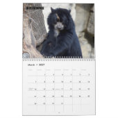 Smithsonian National Zoo 2022 Kalender (Mär 2027)