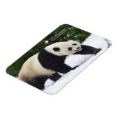 Smithsonian | Riesenpandas im Schnee Magnet (Linke Seite)