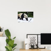 Smithsonian | Riesenpandas im Schnee Poster (Heimbüro)
