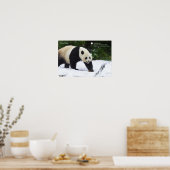 Smithsonian | Riesenpandas im Schnee Poster (Küche)