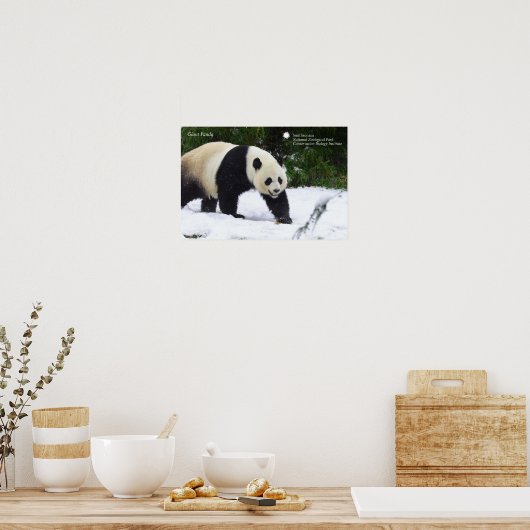 Smithsonian | Riesenpandas im Schnee Poster (Küche)