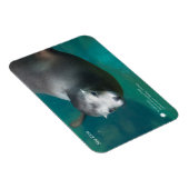 Smithsonian | Sea Lion Magnet (Rechte Seite)