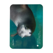 Smithsonian | Sea Lion Magnet (Vertikal)