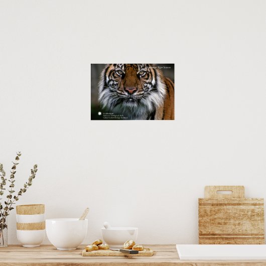 Smithsonian | Sumatran Tiger Soyono Poster (Küche)