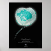 SMITHSONITE POSTER (Vorne)