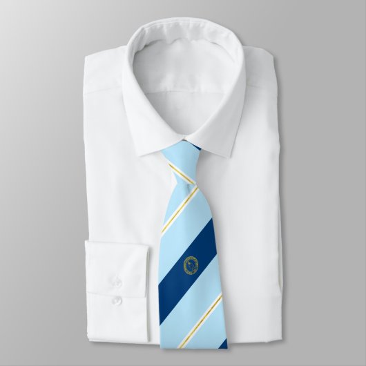 Smithtown (New York) Stadtflagge Neck Tie Krawatte (Gebunden)