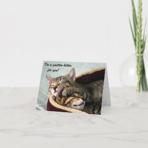 Smitten Kitten For You Feiertagskarte