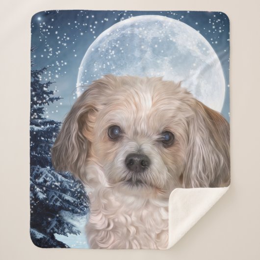 Smitty Winter Moon Sherpadecke (Vorderseite)