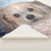 Smitty Winter Moon Sherpadecke (3/4)