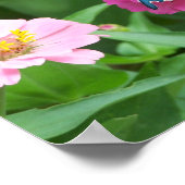 Smitty's Butterfly One Poster (Ecke)