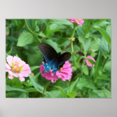 Smitty's Butterfly One Poster (Vorne)