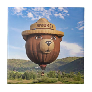 Smokey Bear in Colorado Fliese