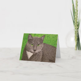 Smokey Cat blank card. Karte