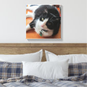 Smokey Die Katze Canvas drucken Leinwanddruck (Insitu (Schlafzimmer))