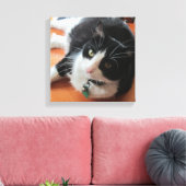 Smokey Die Katze Canvas drucken Leinwanddruck (Insitu (Wohnzimmer))