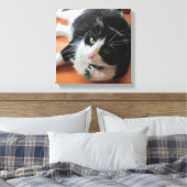 Smokey Die Katze Canvas drucken Leinwanddruck (Insitu (Schlafzimmer))