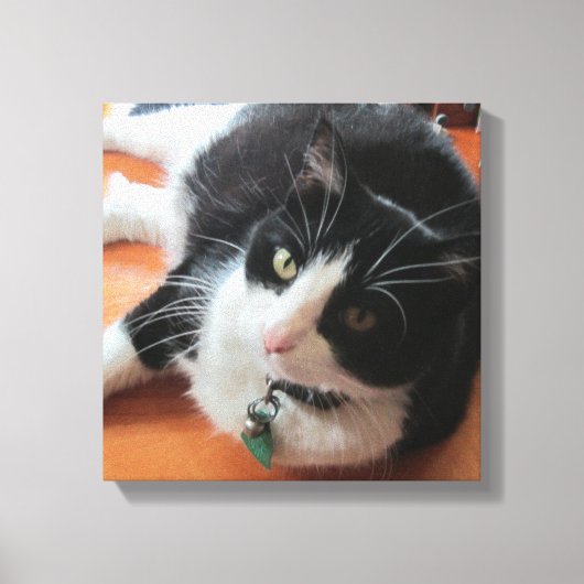 Smokey Die Katze Canvas drucken Leinwanddruck (Vorderseite)