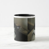 Smokey Die Katze-Tasse Tasse (Zentrum)