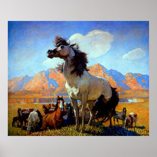 Smokey Face N C Wyeth Circa 1917 Poster (Vorne)