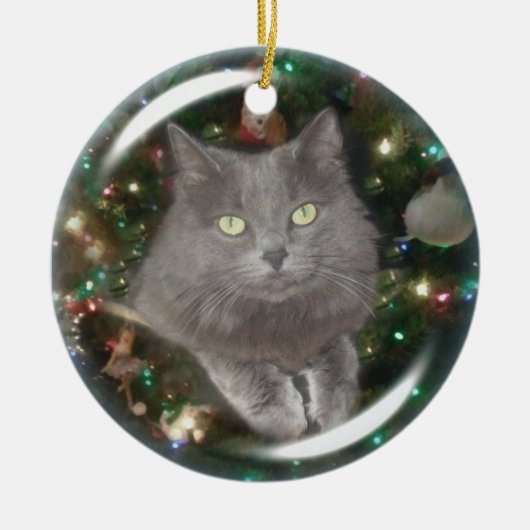 Smokey Grau-Katze Keramik Ornament (Vorne)