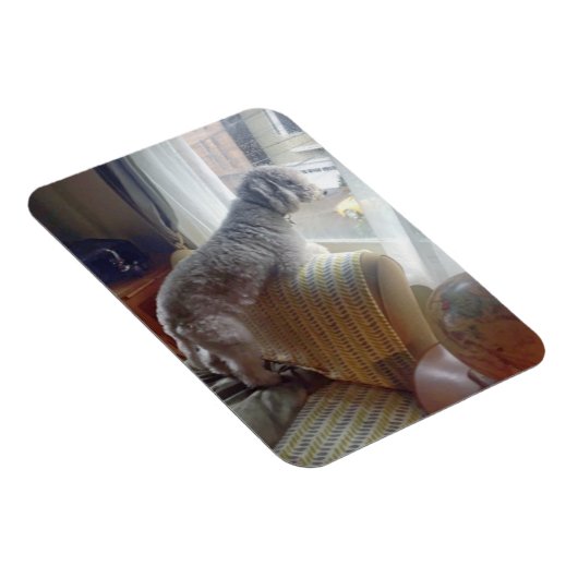 Smokey Magnet (Rechte Seite)