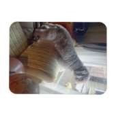 Smokey Magnet (Horizontal)