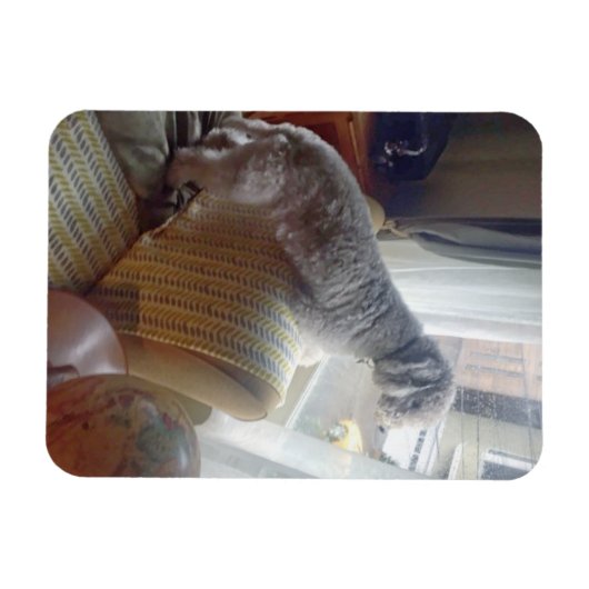 Smokey Magnet (Horizontal)