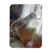 Smokey Magnet (Vertikal)