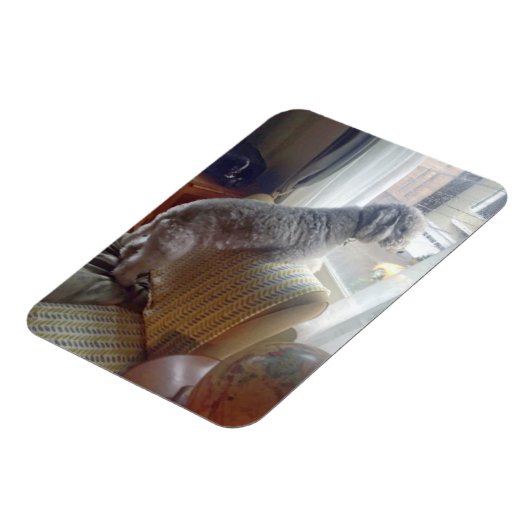 Smokey Magnet (Linke Seite)