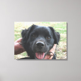 Smokey-Posen für die Kamera Leinwanddruck