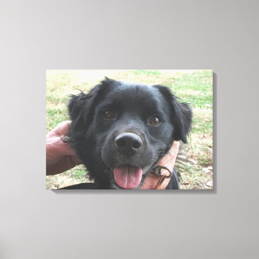 Smokey-Posen für die Kamera Leinwanddruck (Vorderseite)