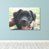 Smokey-Posen für die Kamera Leinwanddruck (Insitu (Holzboden))