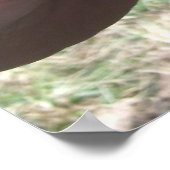 Smokey-Posen für die Kamera Poster (Ecke)