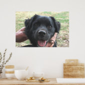 Smokey-Posen für die Kamera Poster (Küche)